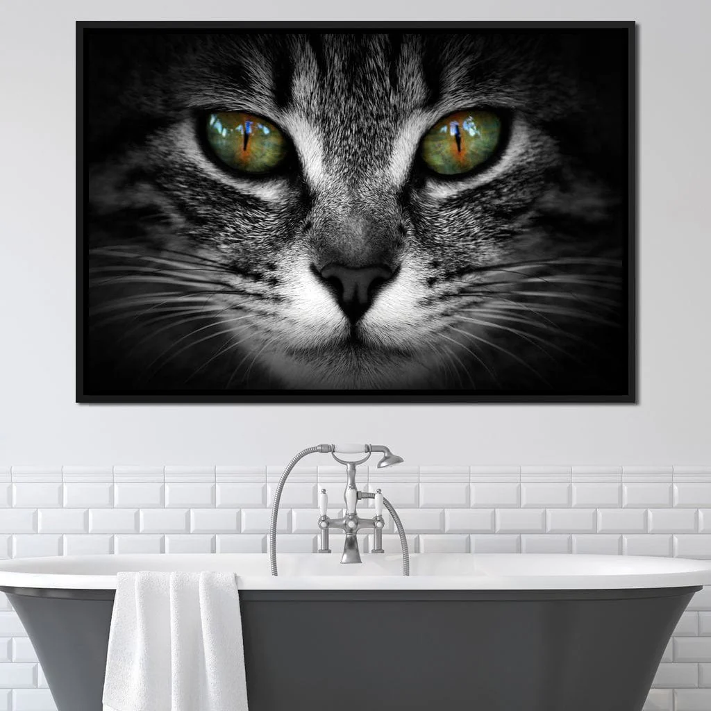 Green Eyed Cat - Image 11