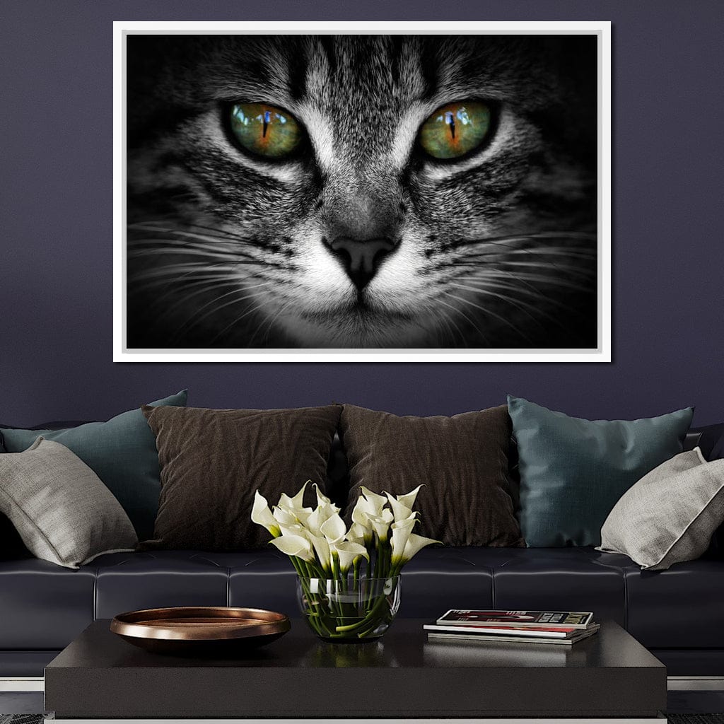 Green Eyed Cat - Image 14