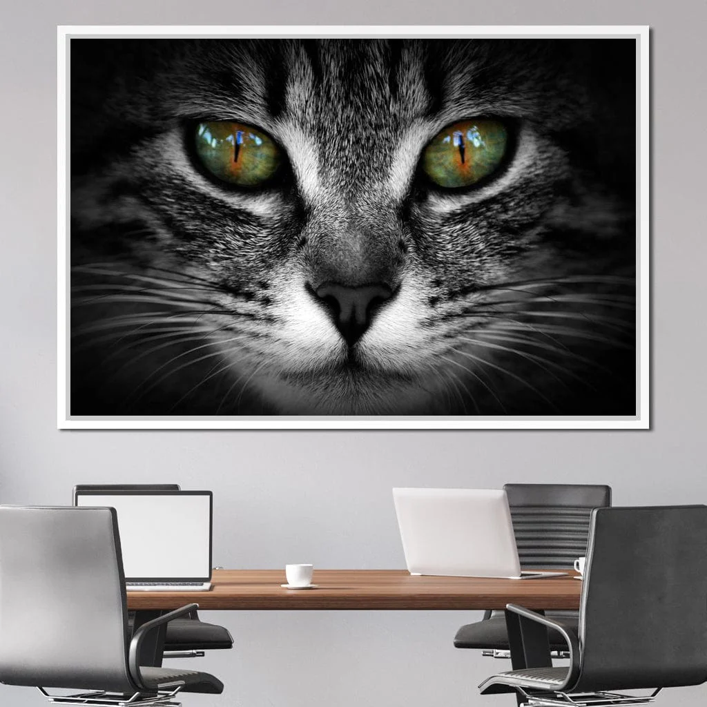 Green Eyed Cat - Image 15