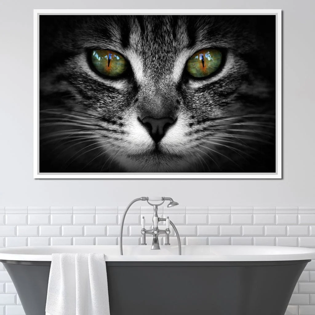 Green Eyed Cat - Image 16