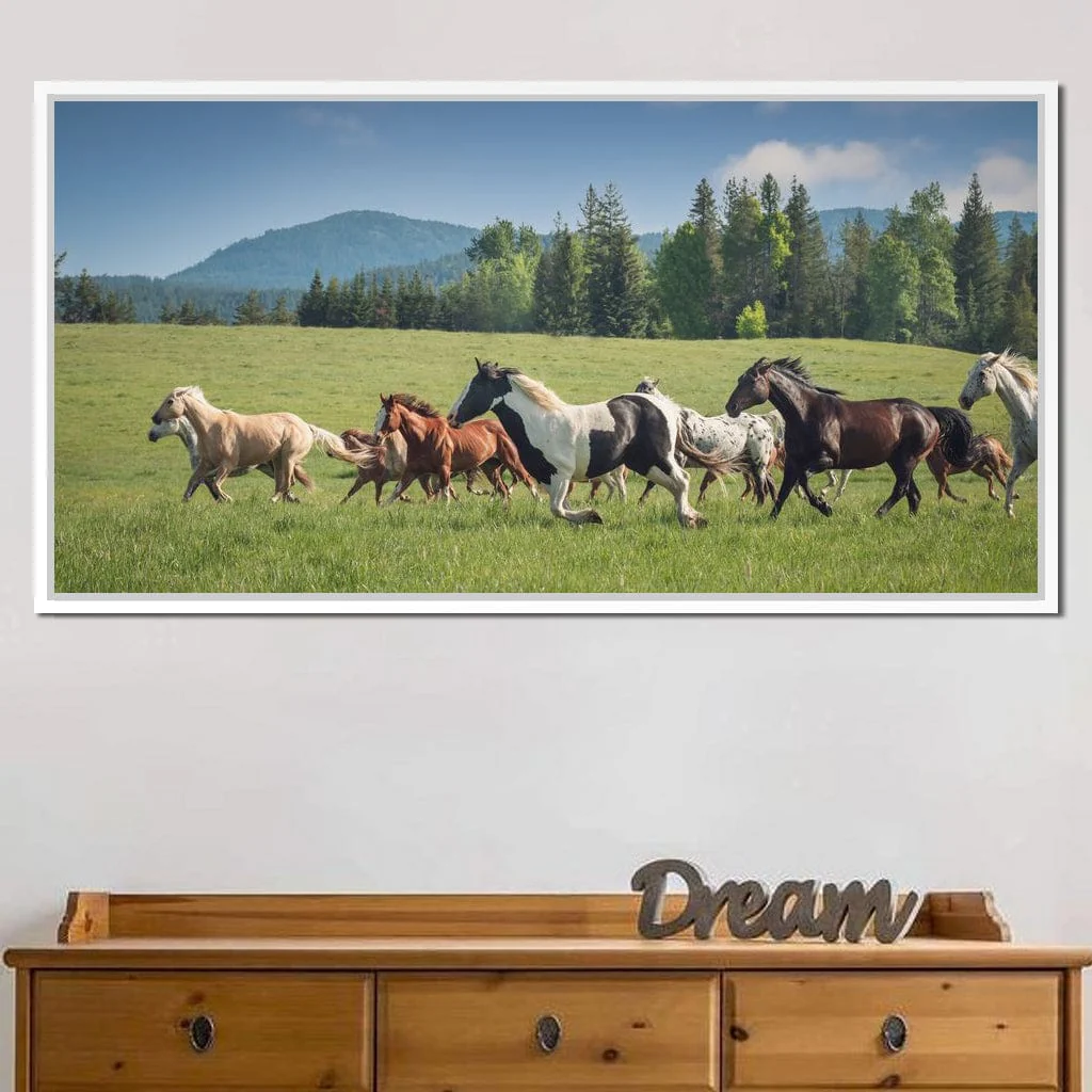 Horses of all Colors Running in a Pasture - Terrie Gray - Image 11