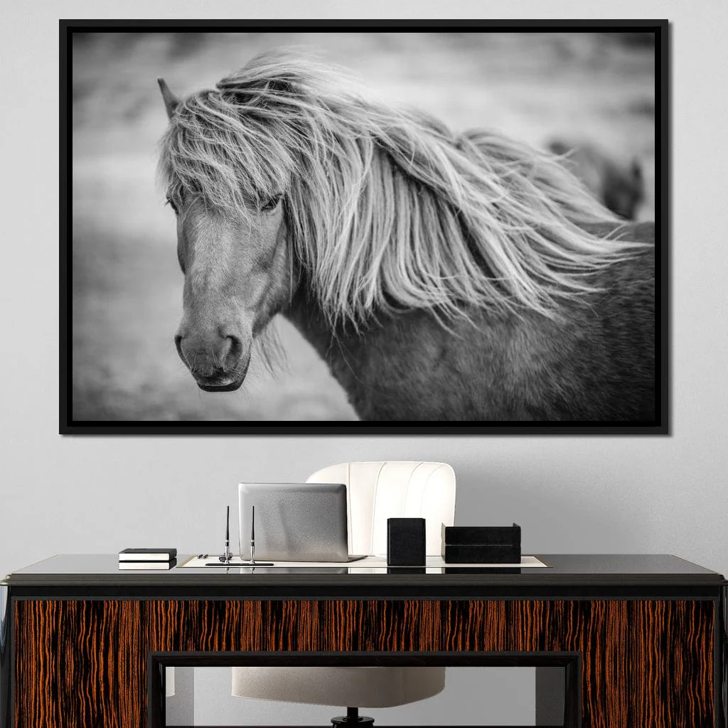Icelandic Horse in Black & White - Image 10