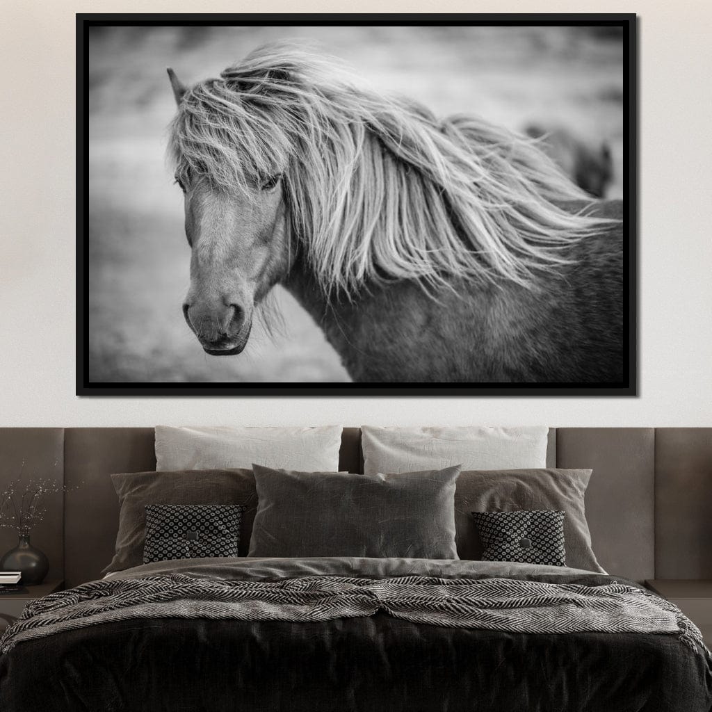 Icelandic Horse in Black & White - Image 11
