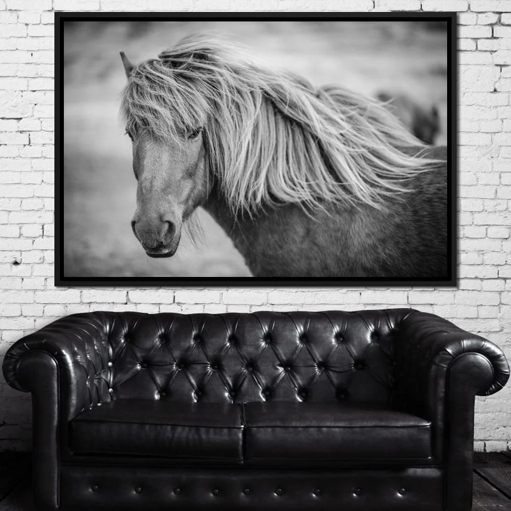 Icelandic Horse in Black & White - Image 12