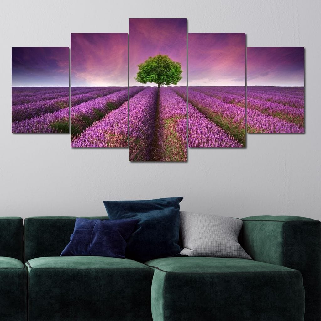 Lavender Dreams