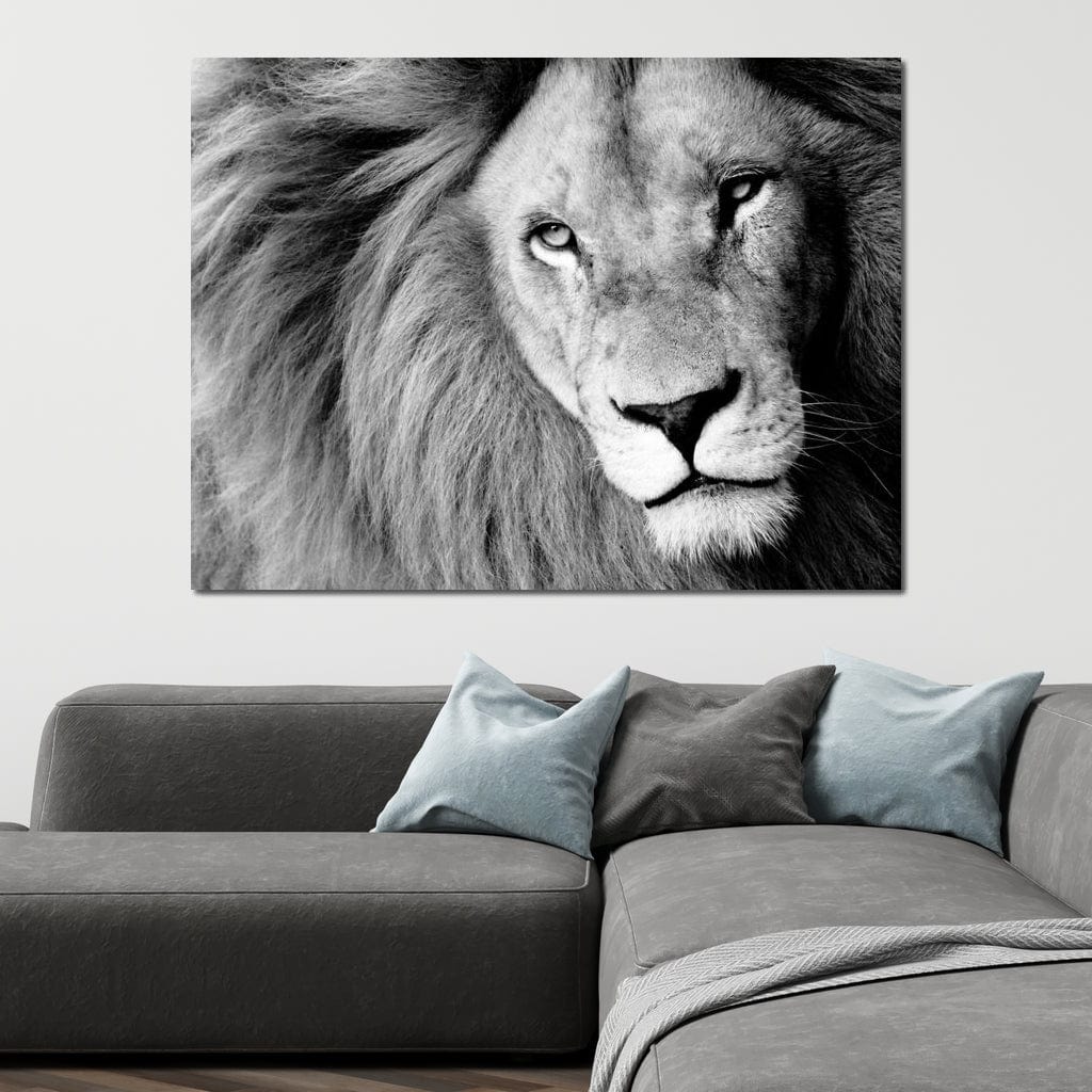 Lion Portrait - Image 2