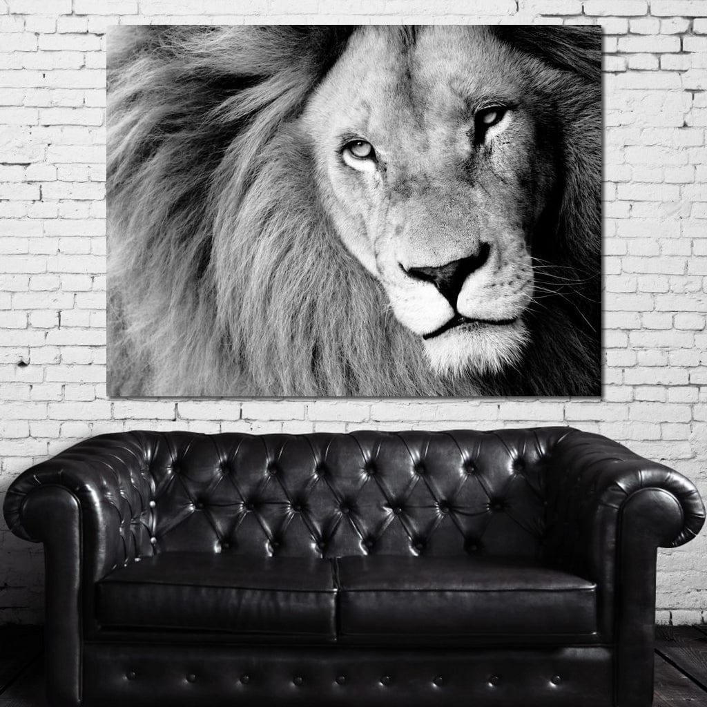 Lion Portrait - Image 3