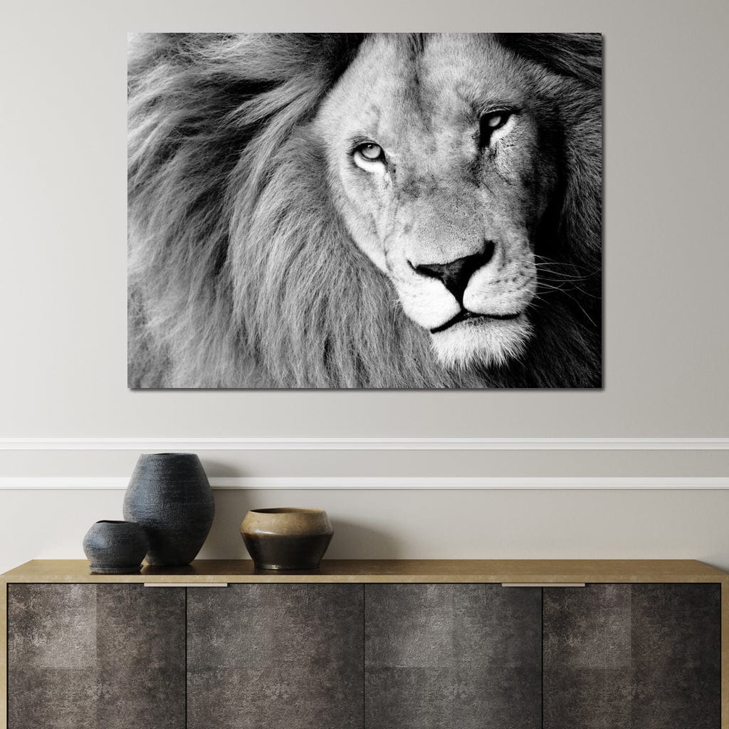 Lion Portrait - Image 4