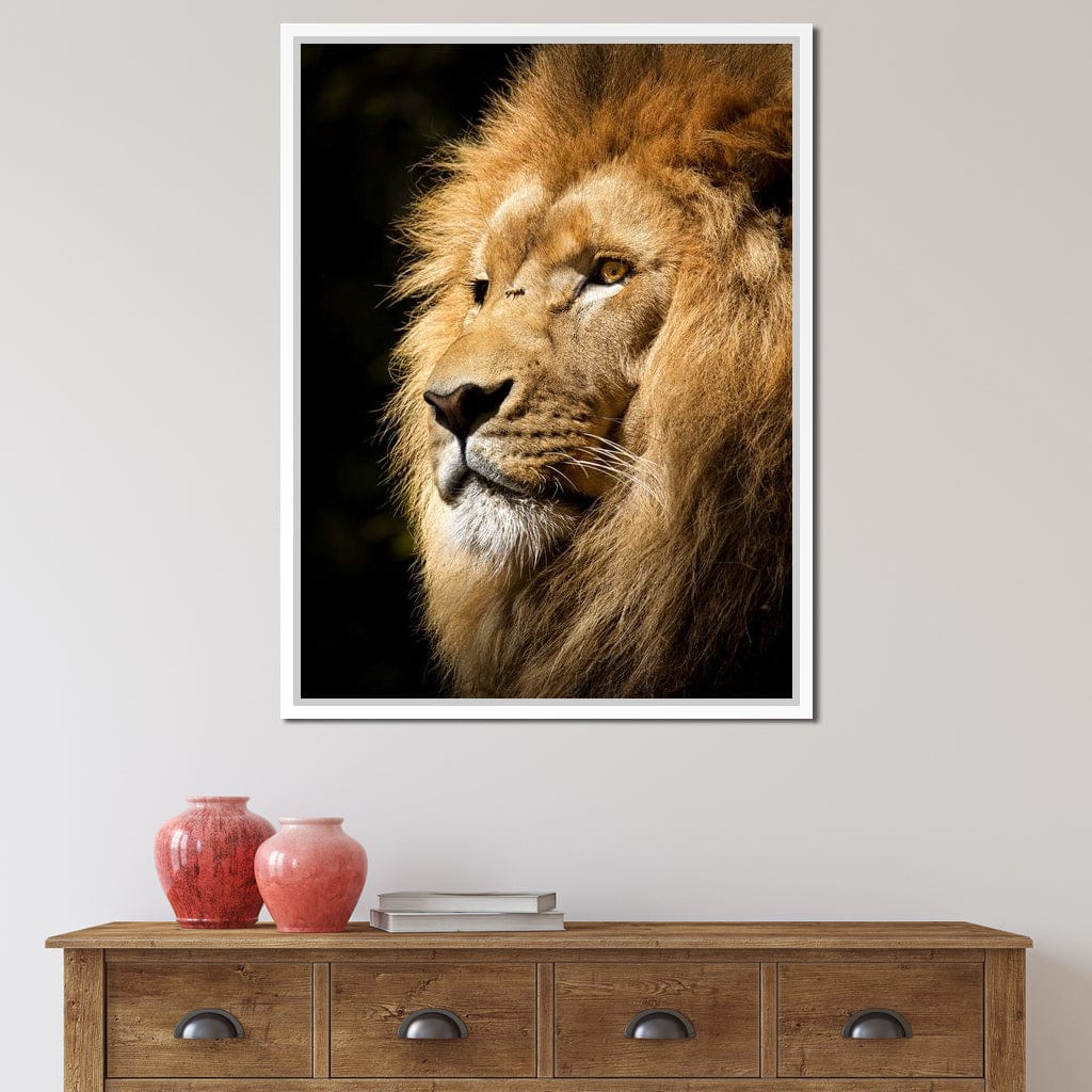 Lion View - Milos Karanovic - Image 11