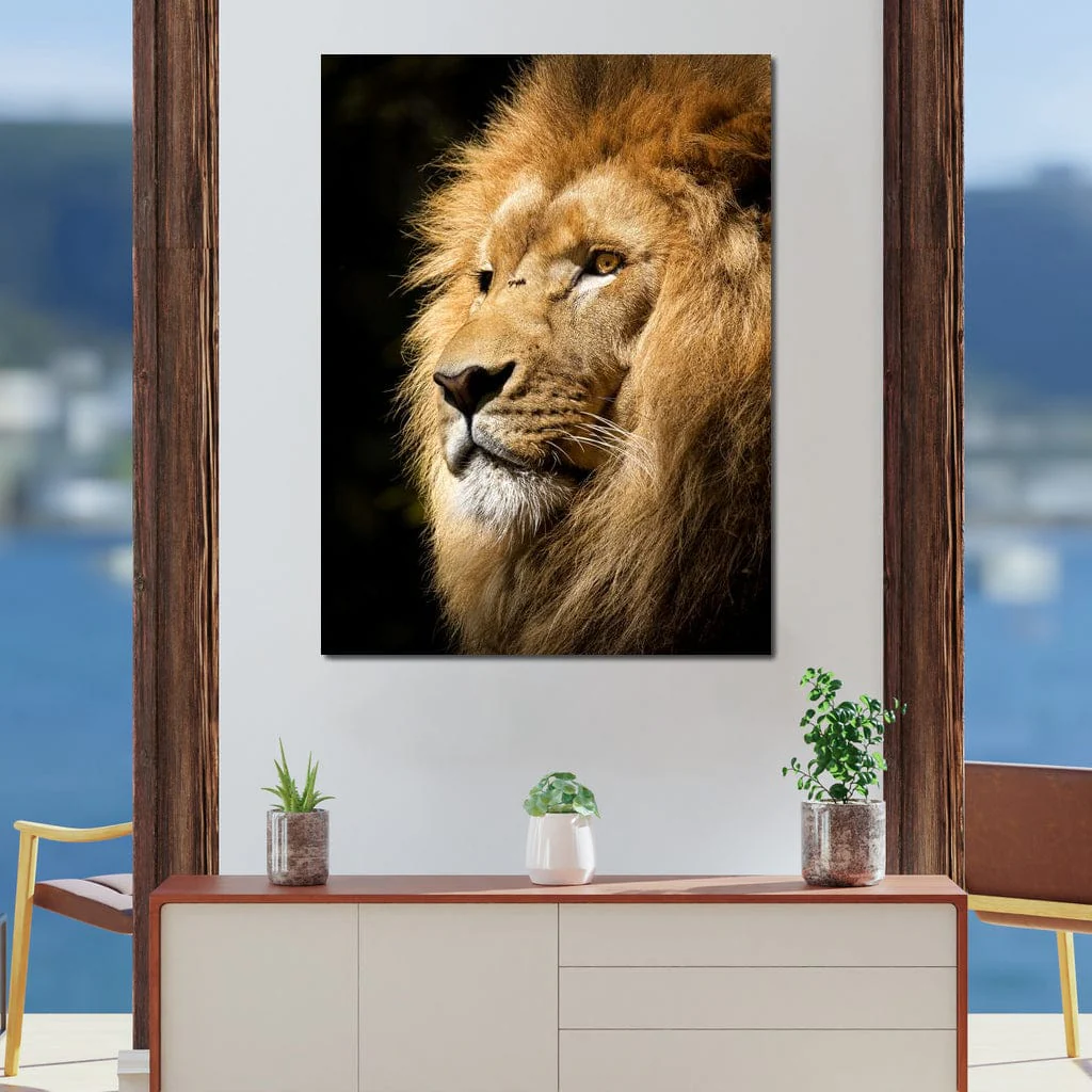 Lion View - Milos Karanovic - Image 4