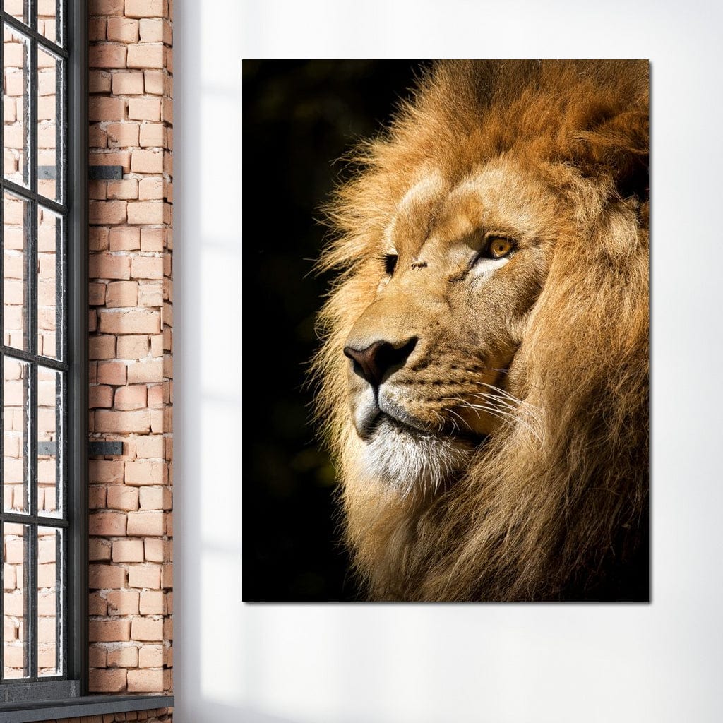 Lion View - Milos Karanovic - Image 6
