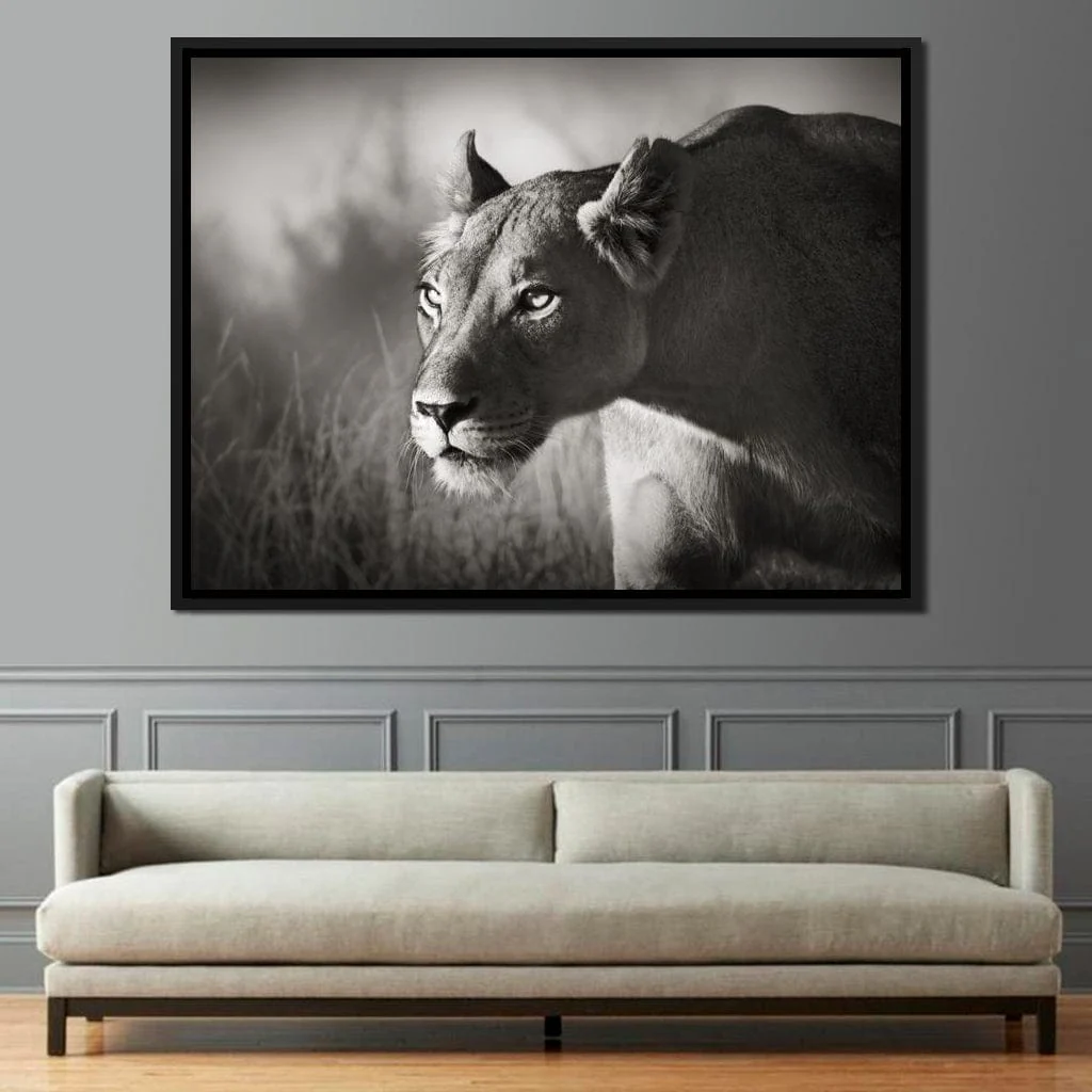 Lioness