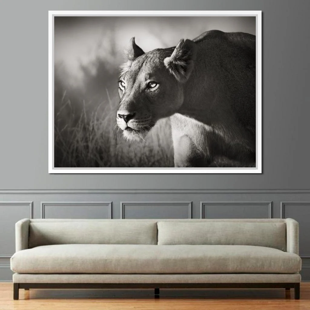 Lioness - Image 14