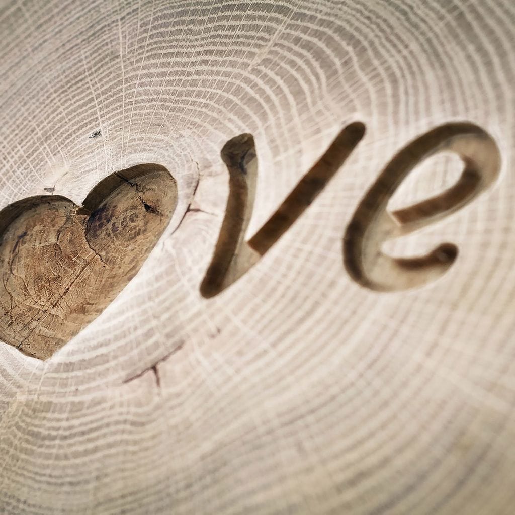 Love Tree Rings - Image 5