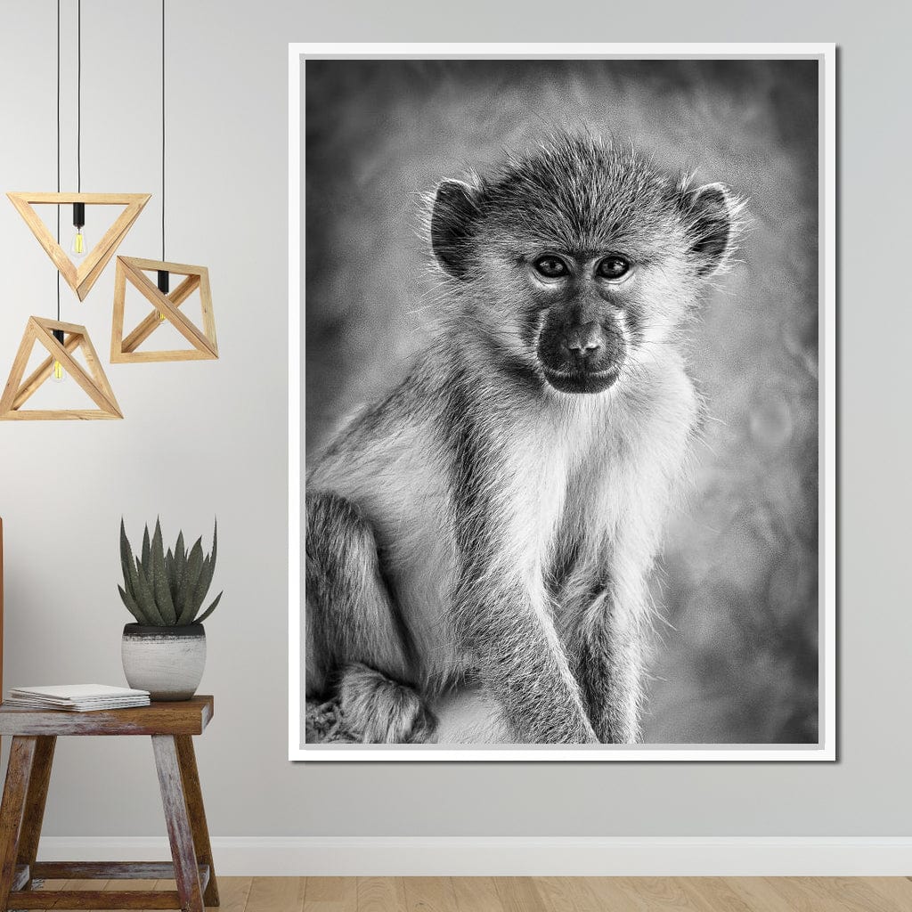 Monkey in Black & White - Image 13