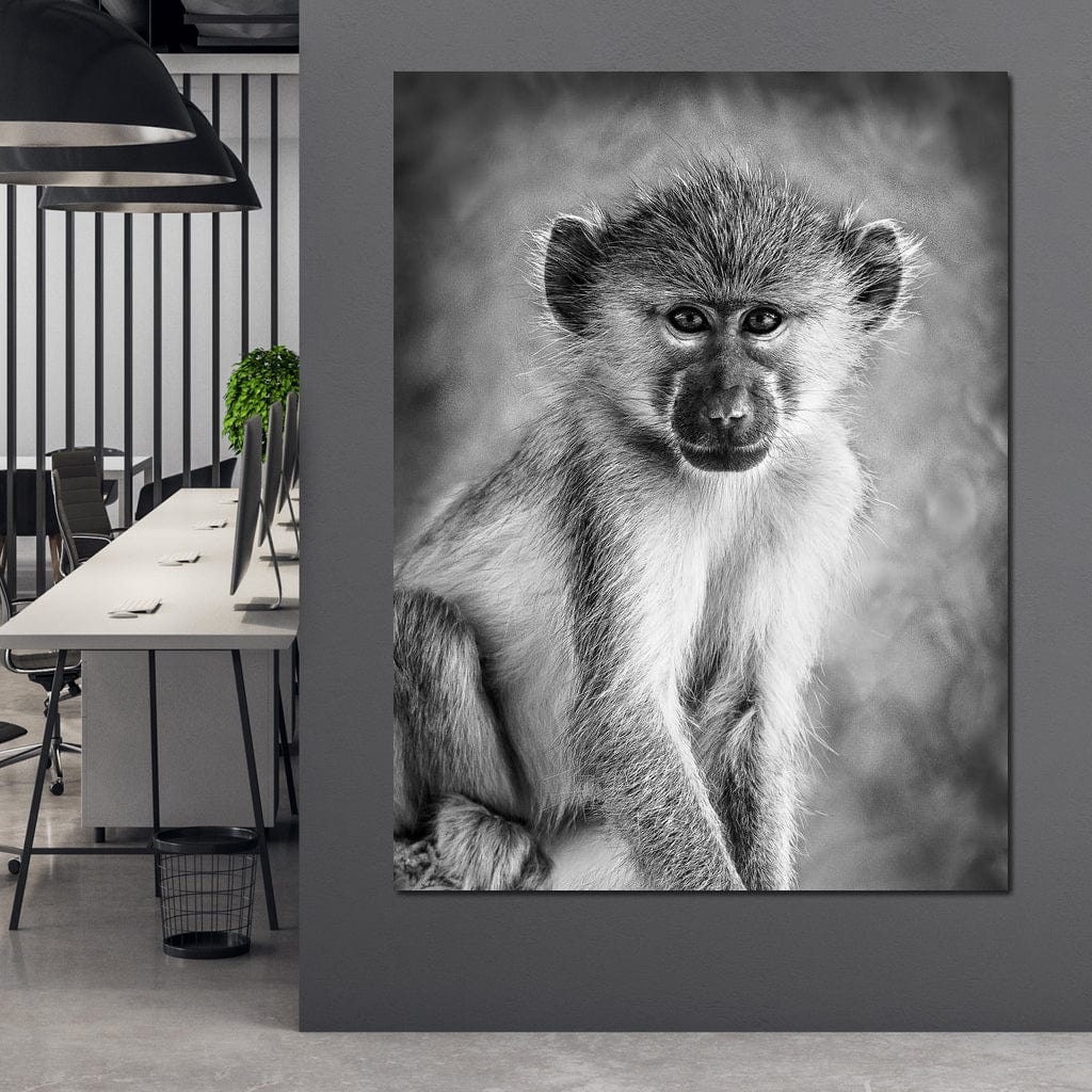 Monkey in Black & White - Image 4