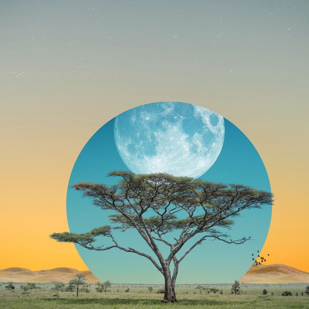 Moon Tree - Aaron Larson - Image 13