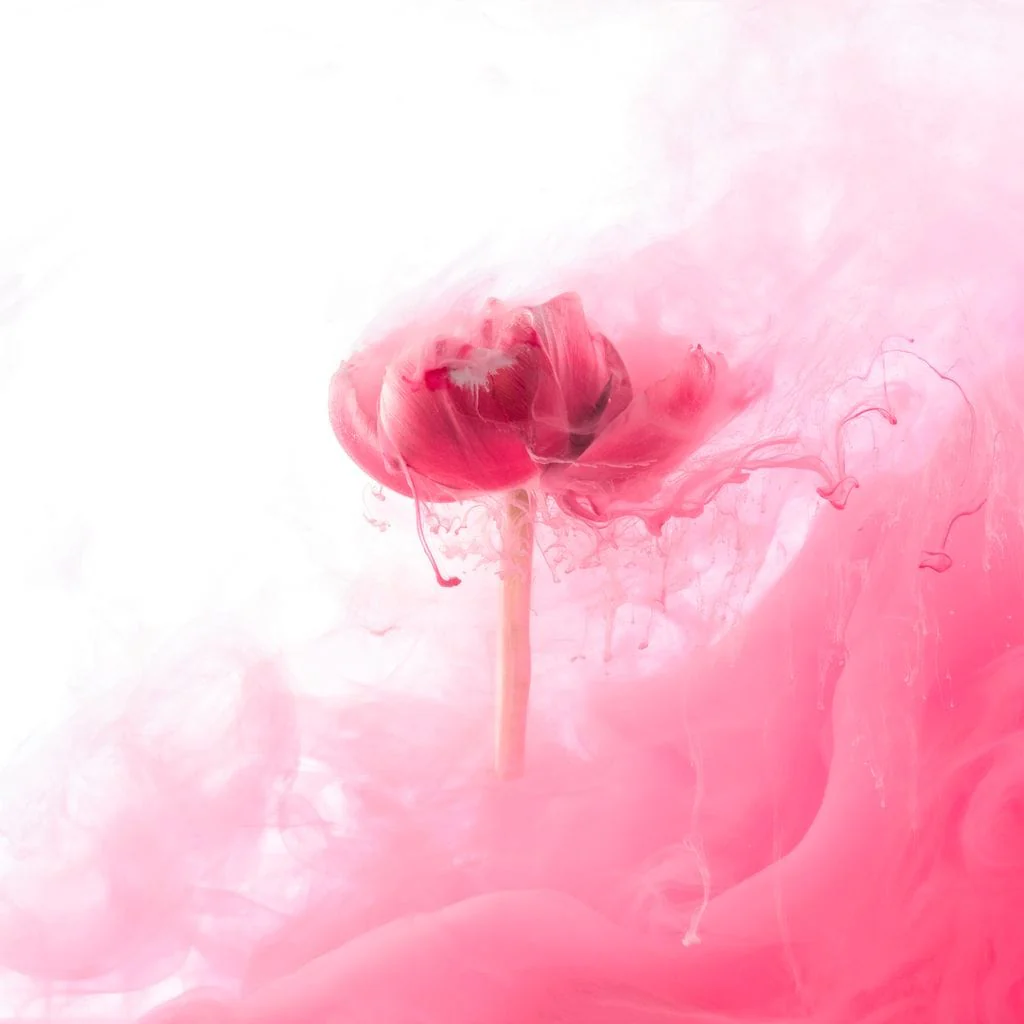 Motion of Love - Image 19