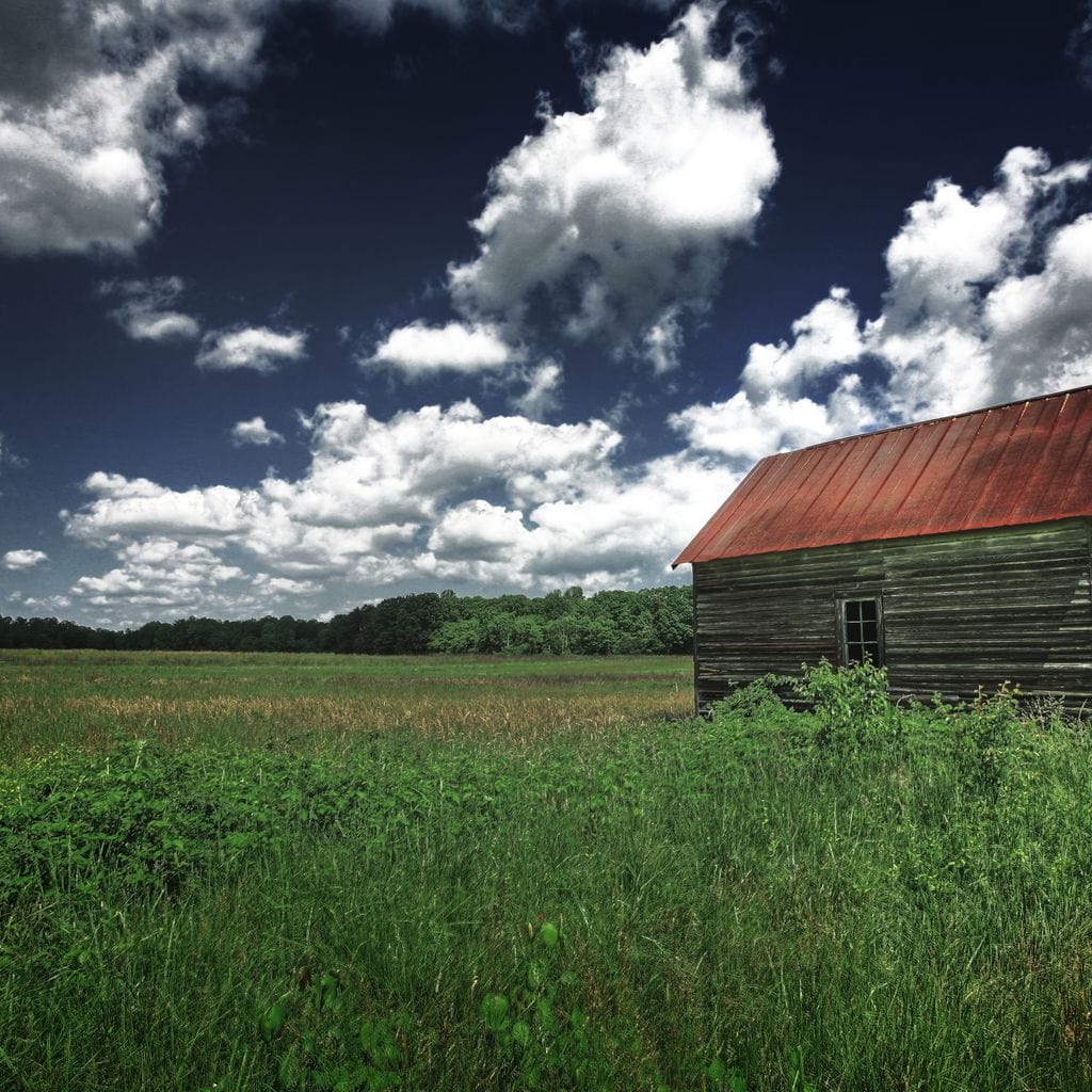 Old Barn in the Field - Image 16