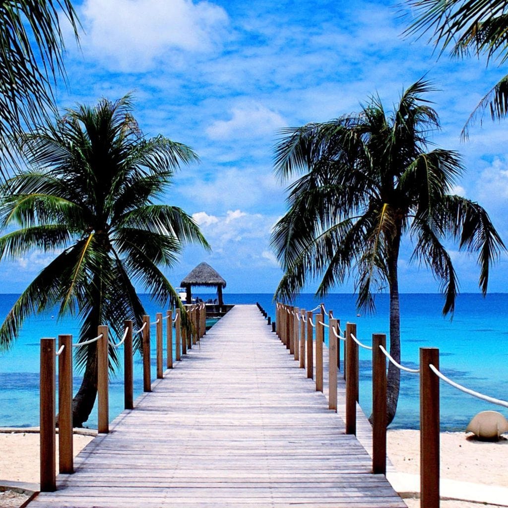 Perfect Vacation - Image 5