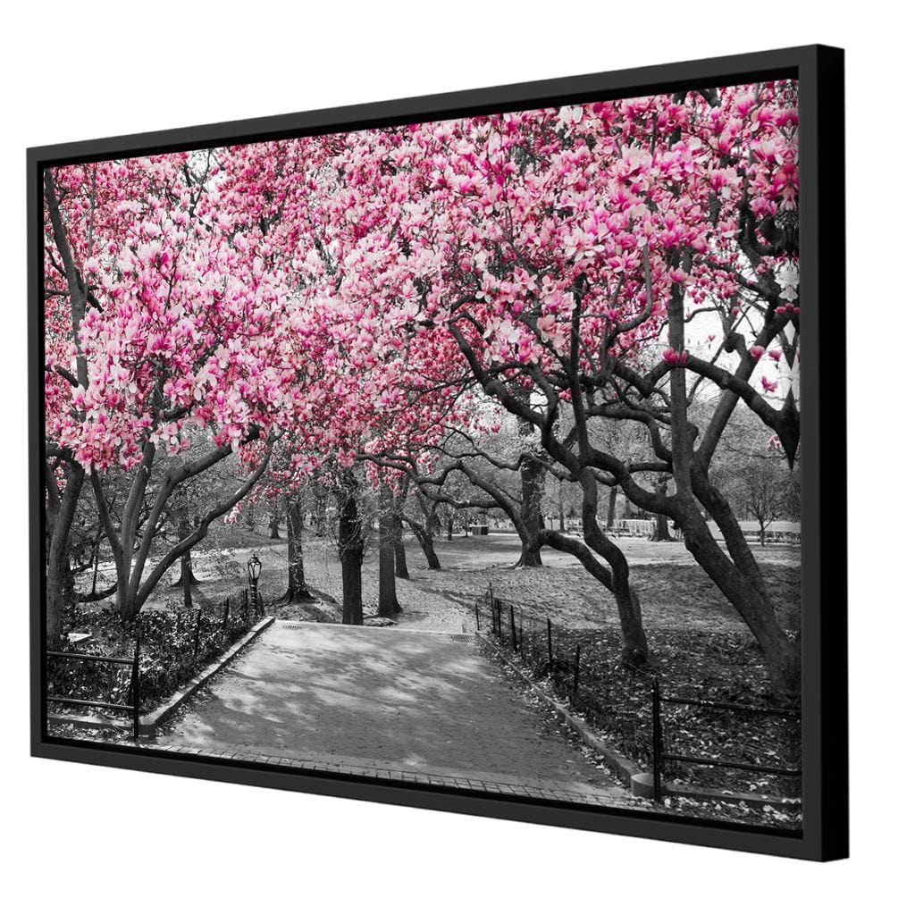 Pink Blossoms in Black and White - Image 11