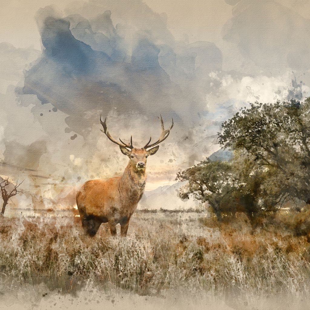 Red Deer - Image 16