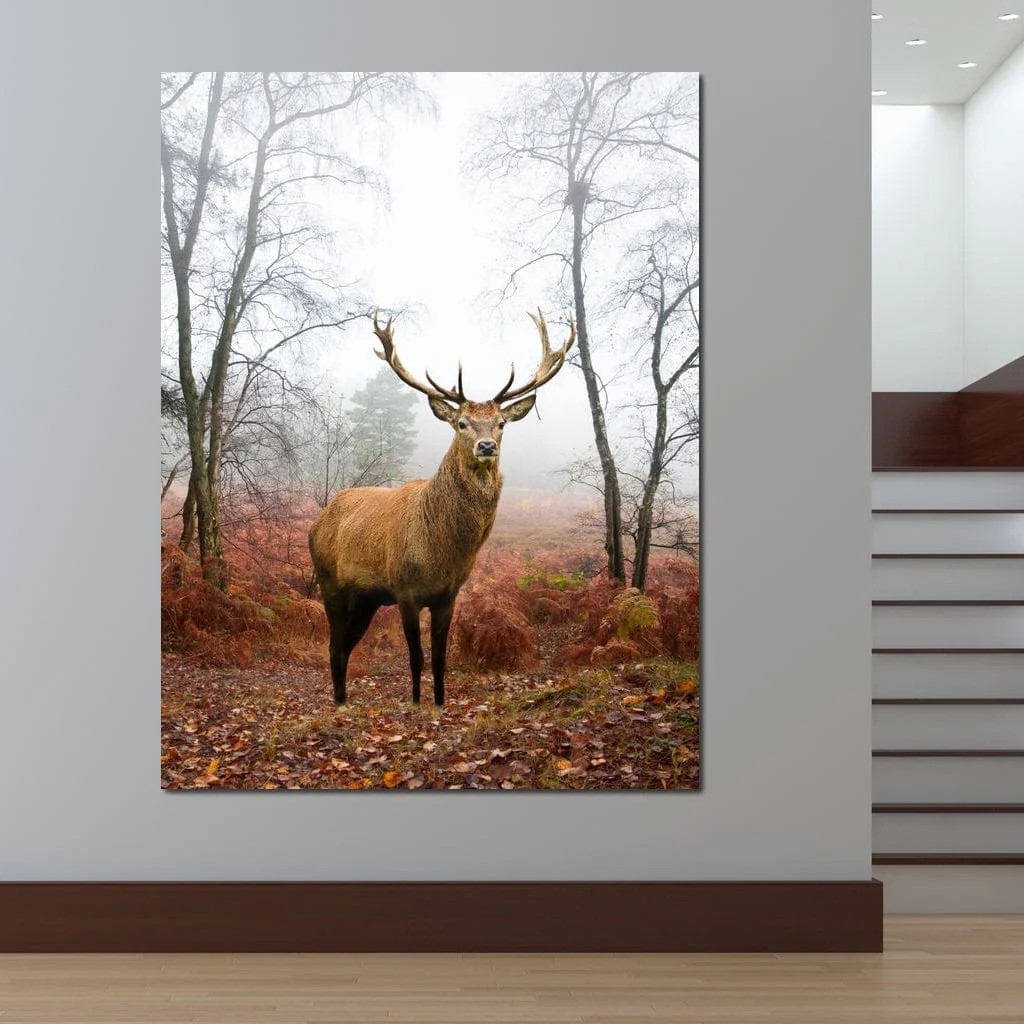 Red Deer Stag - Image 6