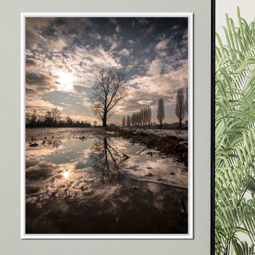 Reflections - Enzo - Image 14