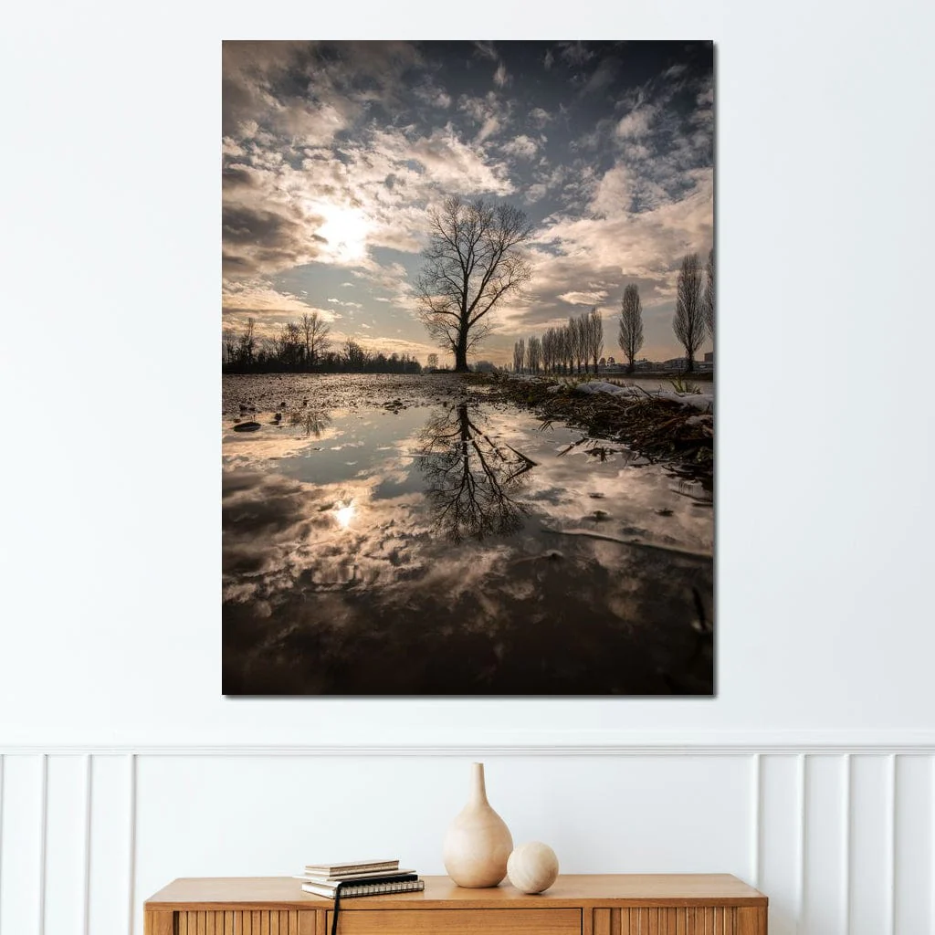 Reflections - Enzo - Image 3