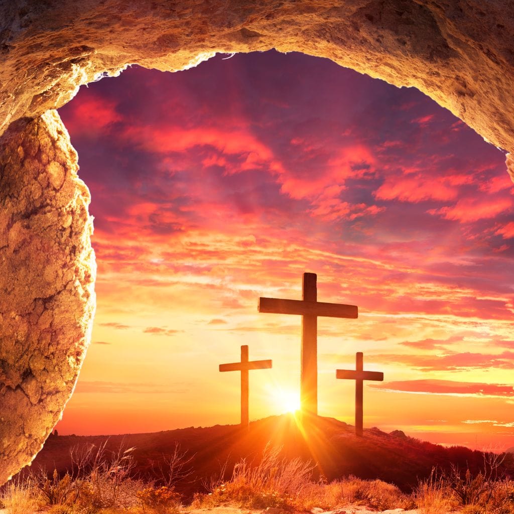 Ressurection - Image 19