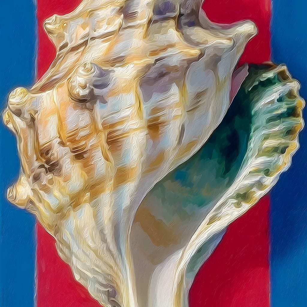 Shell Harmony by the Sea - Image 13