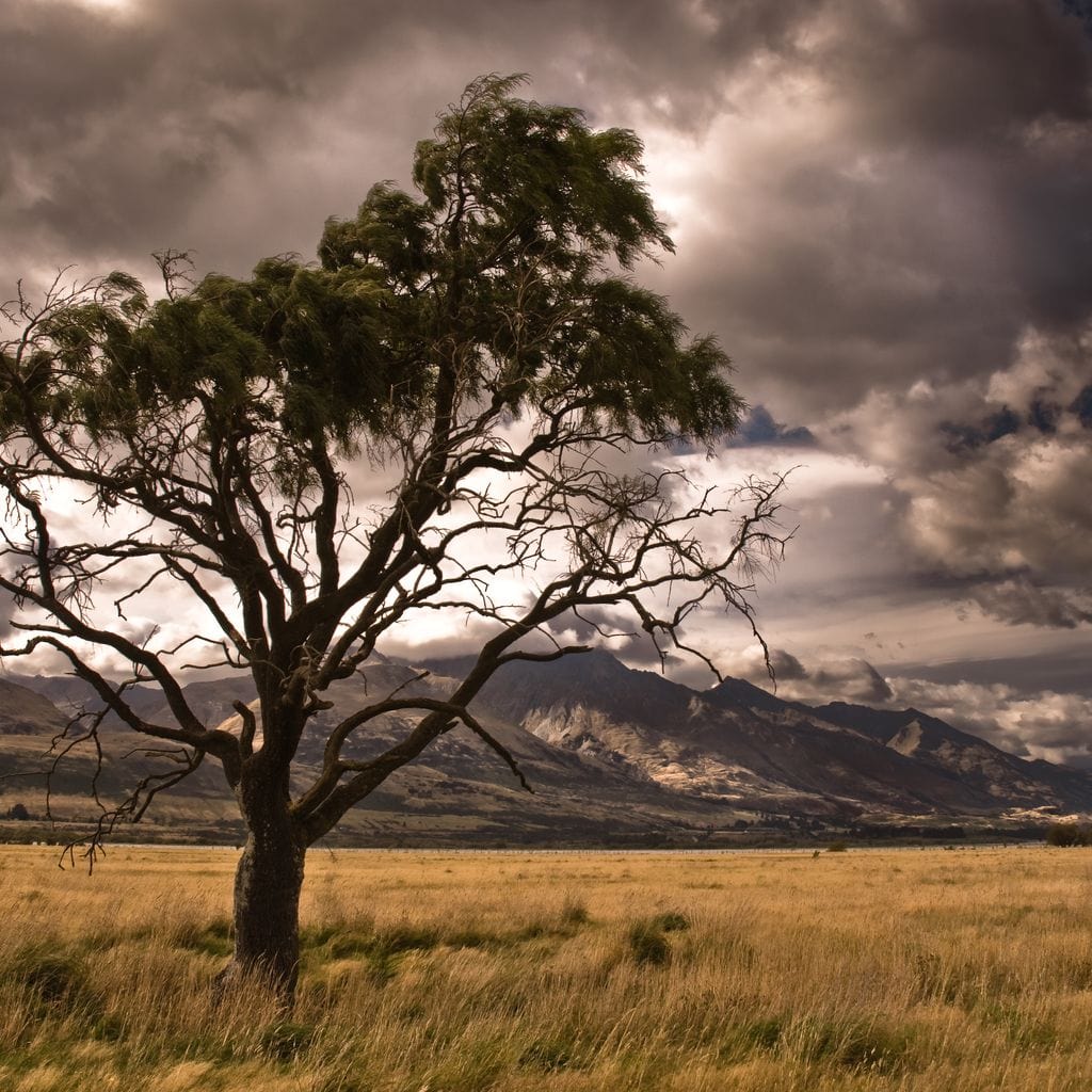 Stormy Afternoon - Image 19