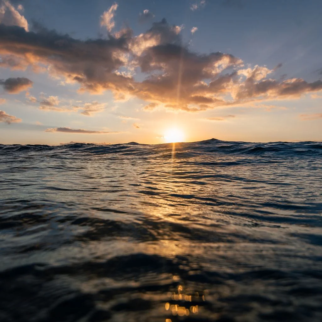 Sunset Ocean - Lucas Moore - Image 21