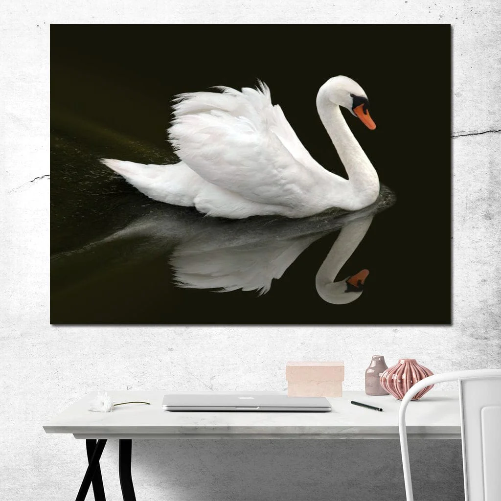 Swan - Ben Heine - Image 3