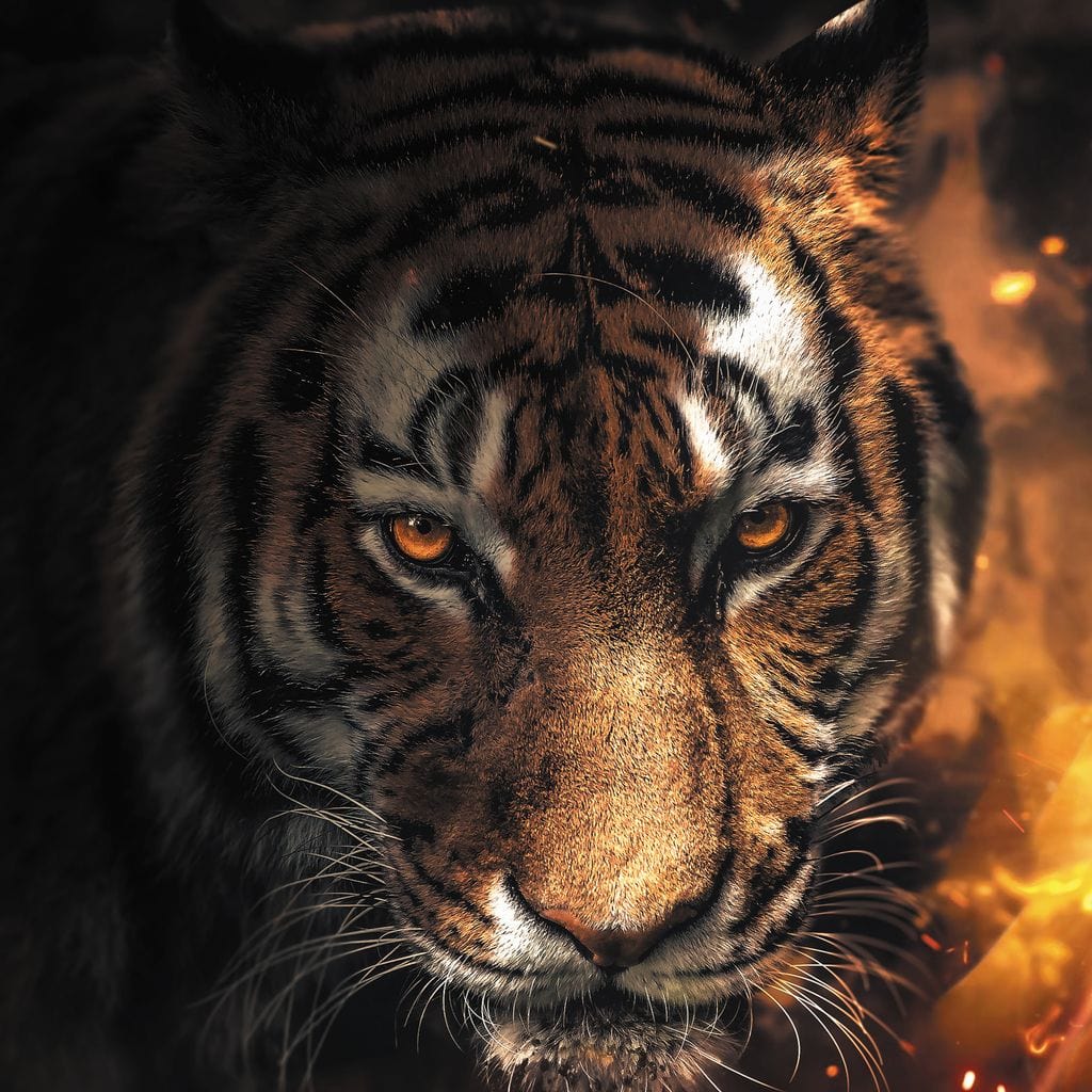 Tiger Sparkles - Zenzdesign - Image 16