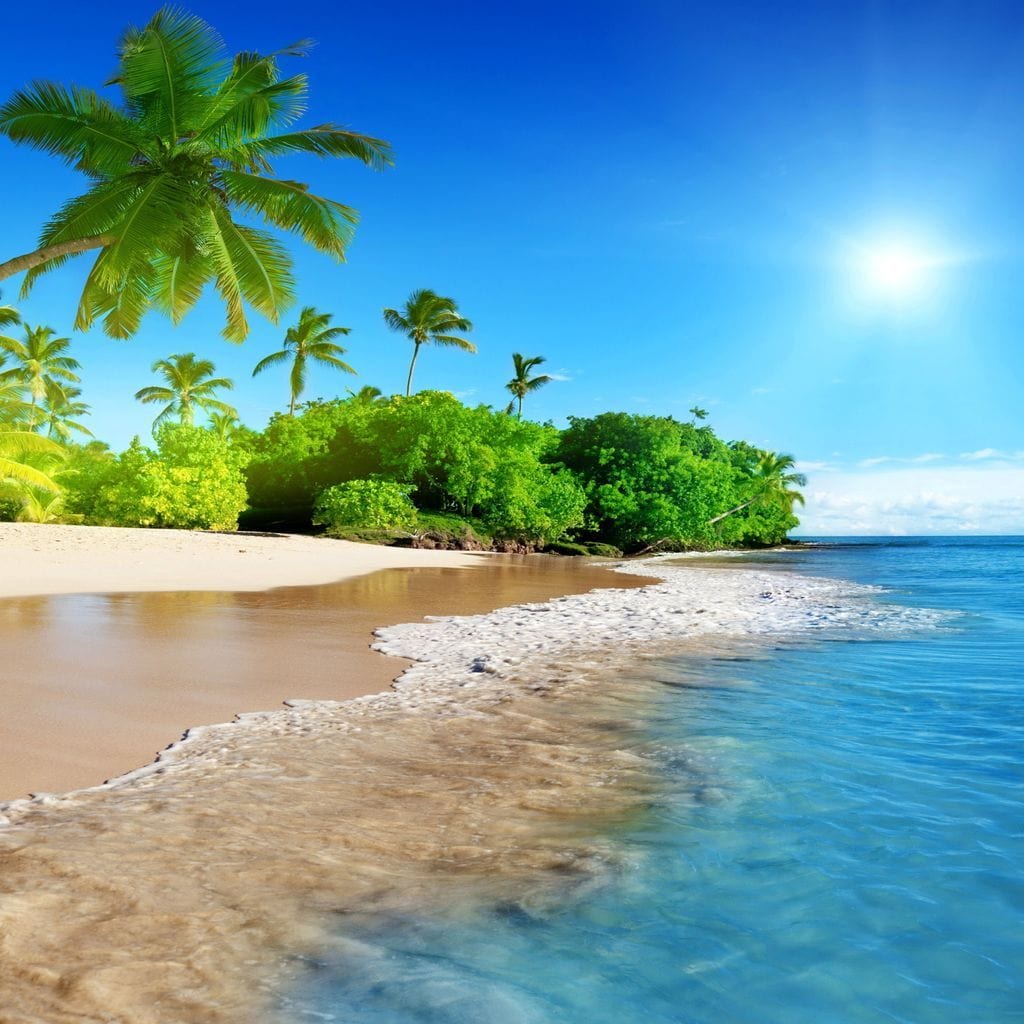 Tropical Day At The Beach - Image 4