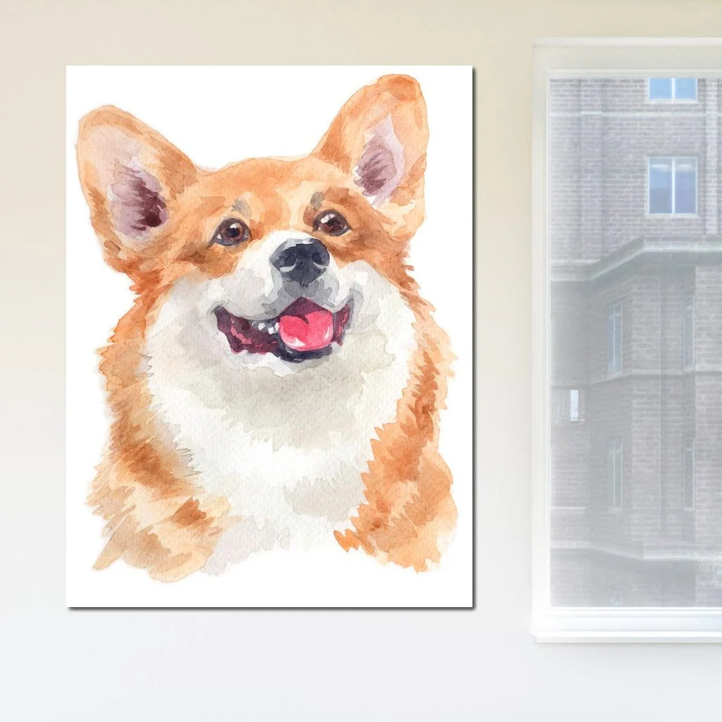 Welsh Corgi - Image 4