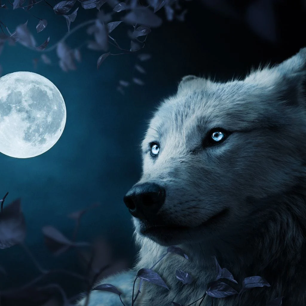 Wolf Full Moon - Milos Karanovic - Image 19