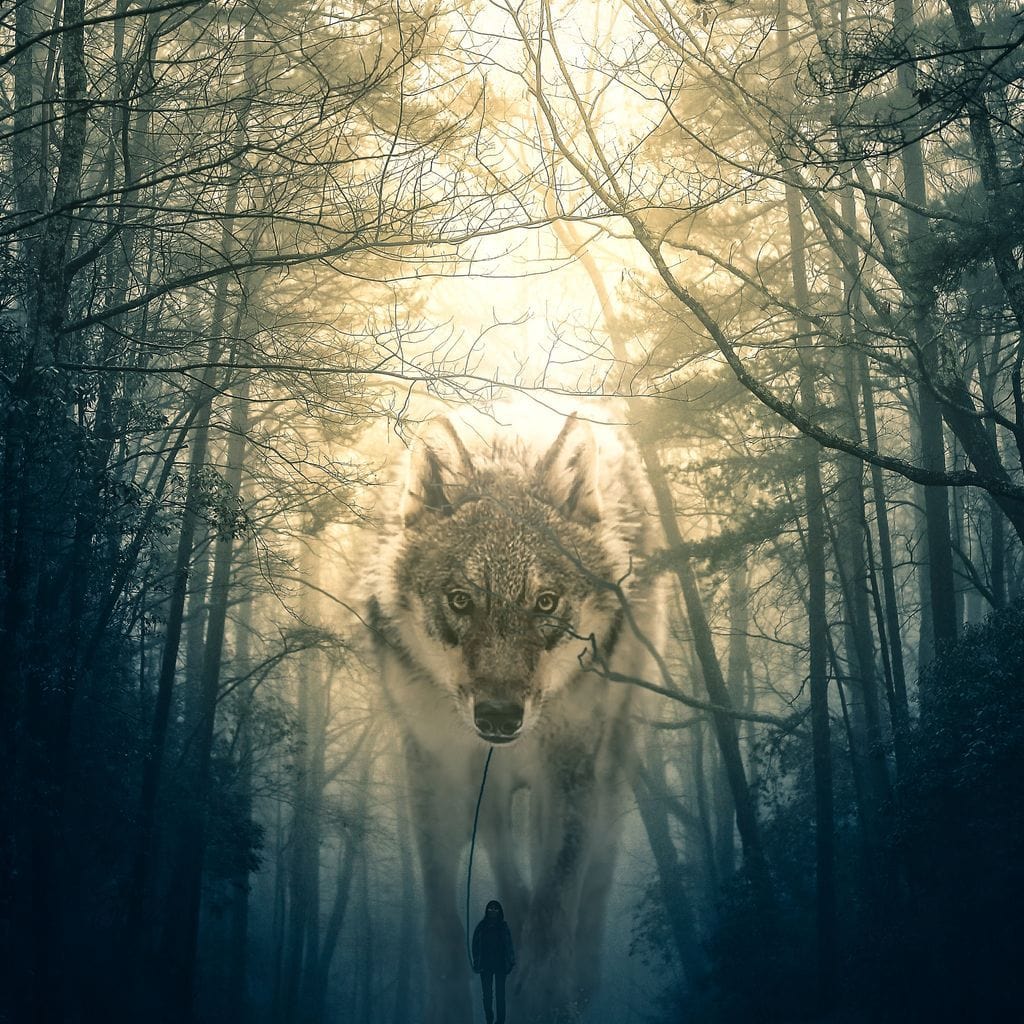 Wolf Walking - Alex Graphex - Image 19