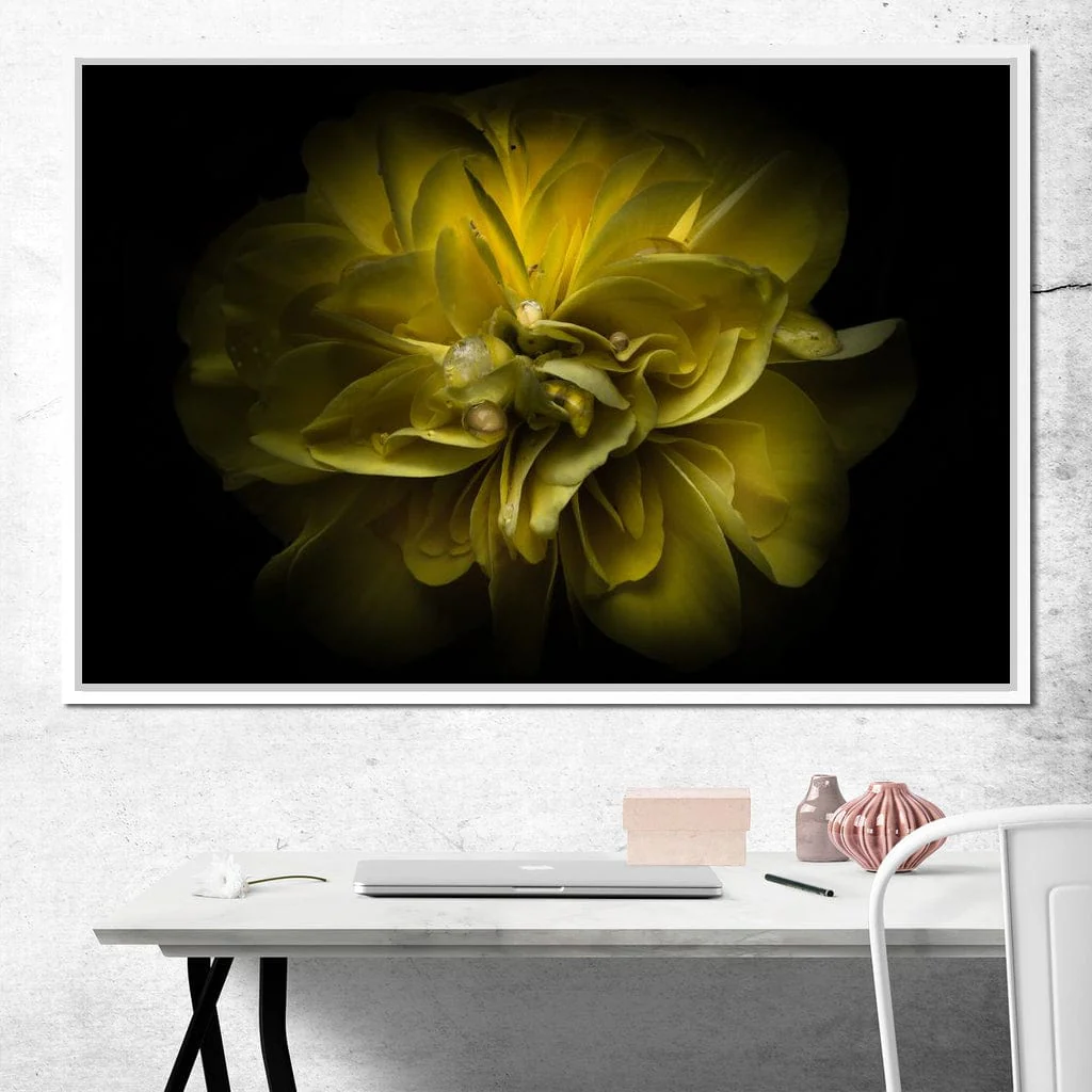 Yellow Backyard Flowers - Brian Carson - Image 13