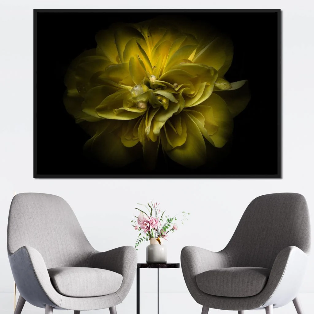 Yellow Backyard Flowers - Brian Carson - Image 9