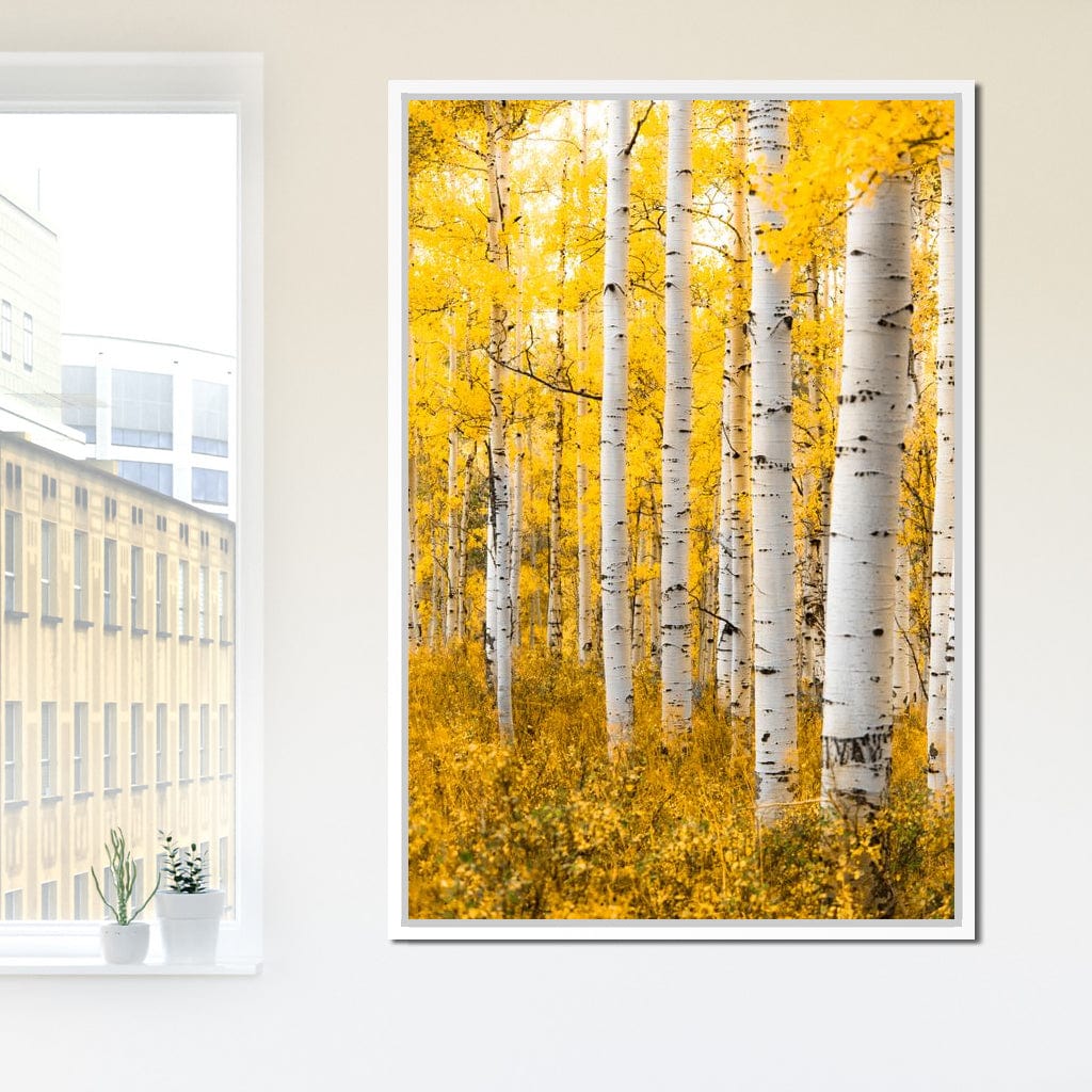 Yellow Forest - Colorado - Lucas Moore
