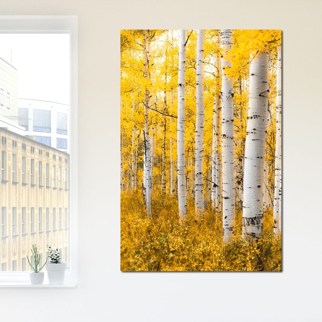 Yellow Forest - Colorado - Lucas Moore - Image 2