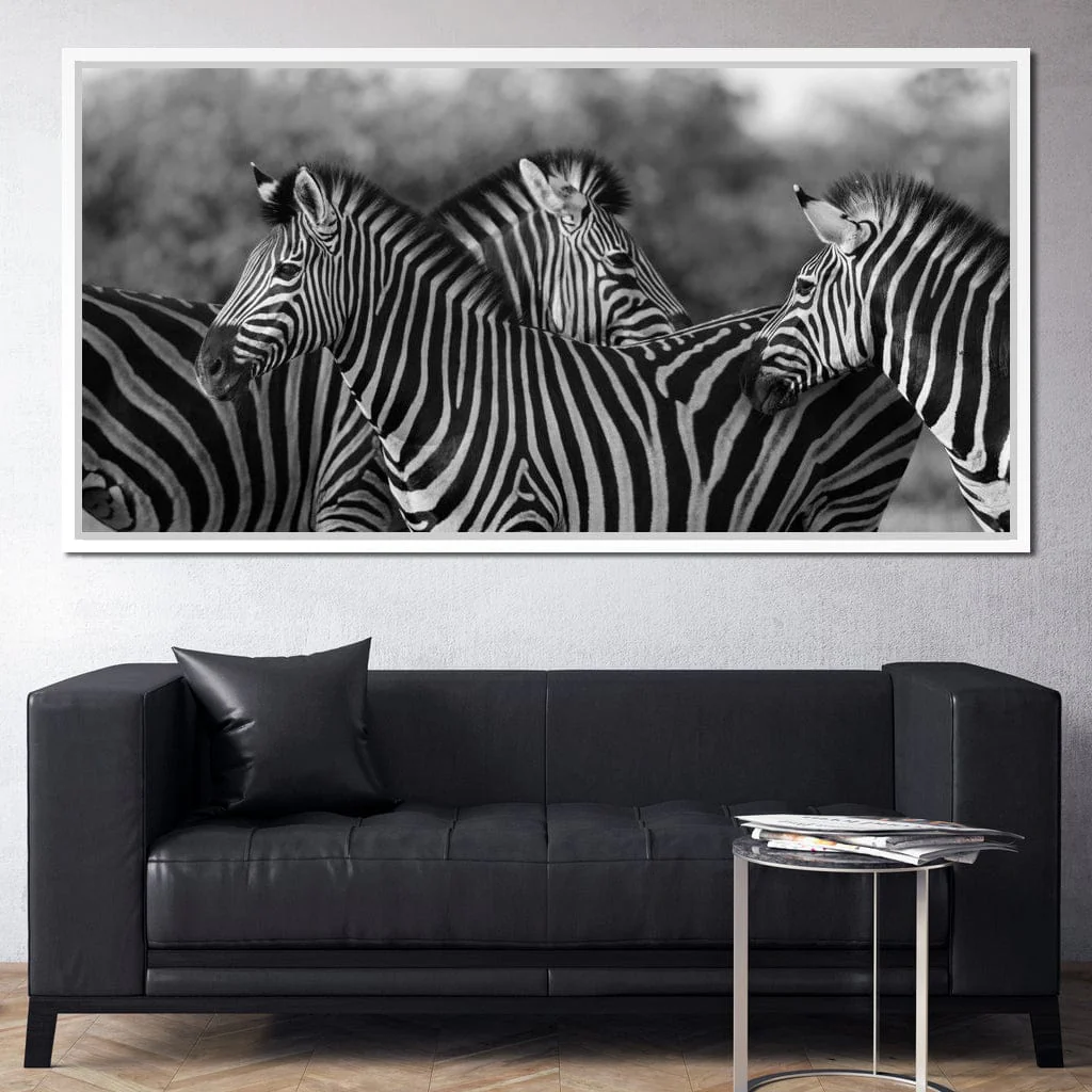 Zebra Herd in Black & White - Image 12